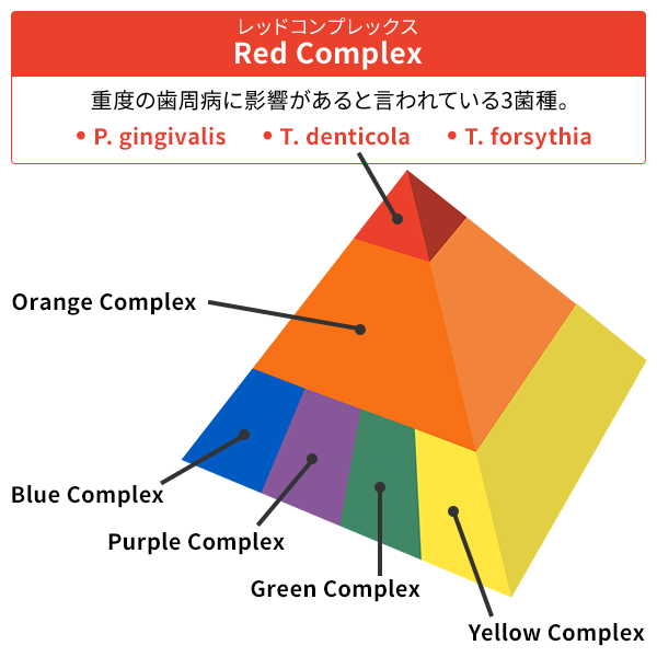 Red complexの図