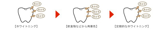 白さを維持するために